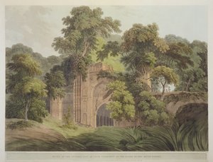 Rovine dell